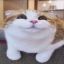 Server favicon of 45.93.200.30:25602