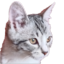 Server favicon of 212.22.93.25:25580