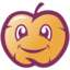 Server favicon of bagmc.pl