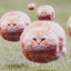 Server favicon of play.hatchetcraft.com