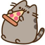 Server favicon of skypex.ga.md