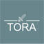 Server favicon of mc.toraden.com