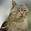 Server favicon of game.minewind.com