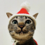 Server favicon of hrhrhrhr.com.tw