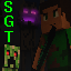 Server favicon of sgtblockbuster.serverminer.com