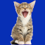 Server favicon of play.deletus.net