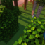 Server favicon of play.elzoo.es