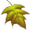 Server favicon of server.mine721.ru:25570